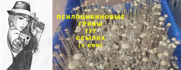 марки nbome Аркадак