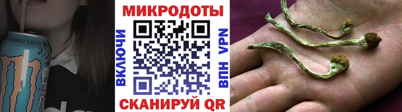 OMG зеркало  Бологое  Галлюциногенные грибы ЛСД 